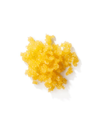 Sagittis Id Consectetur